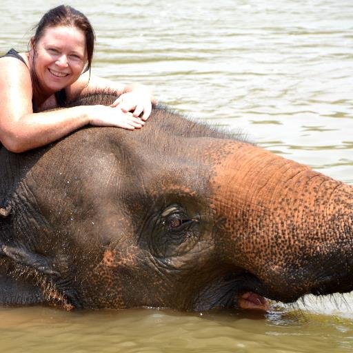 EllenJosephs's profile picture. Love my family, travel, photography and the beauty around us.