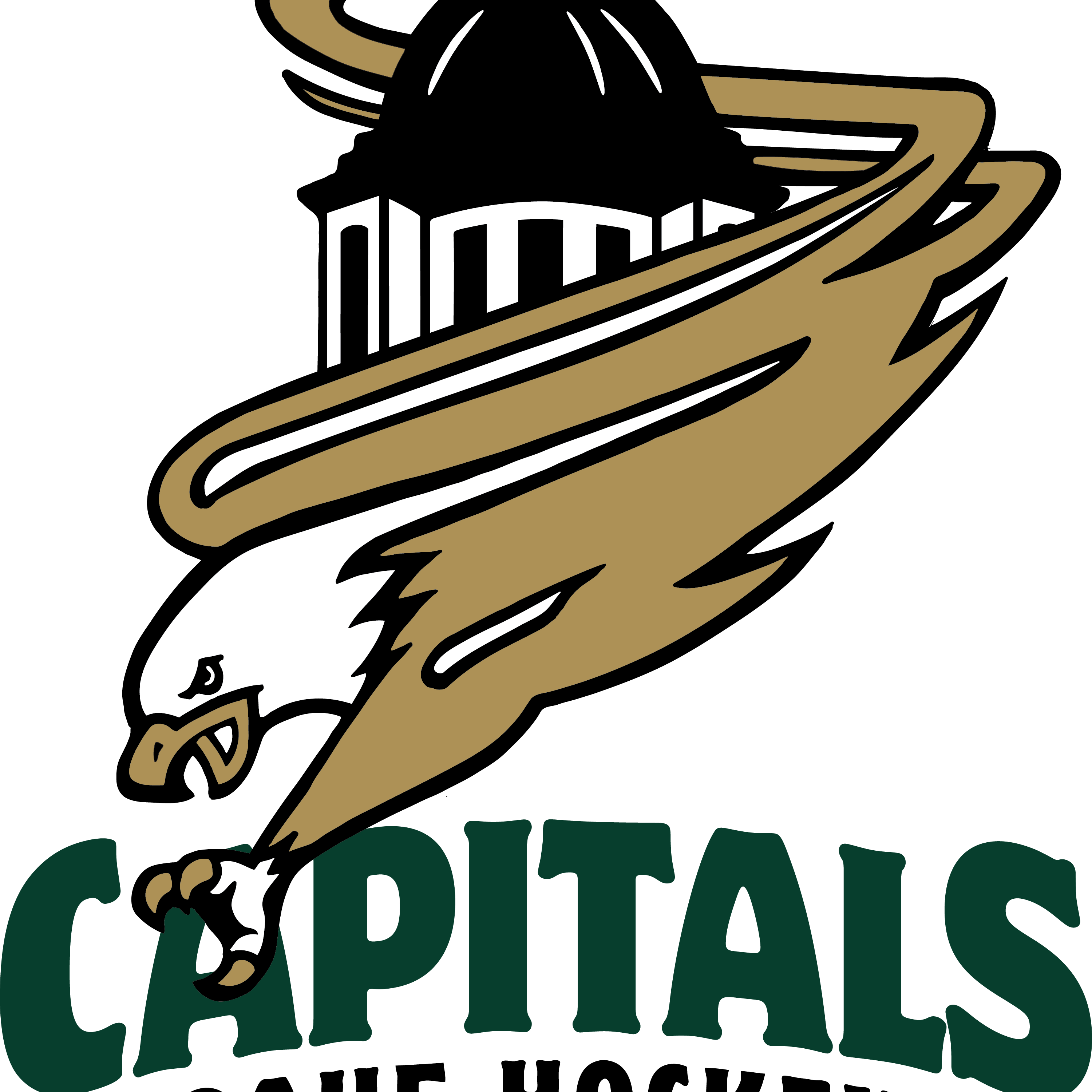 Oahe Capitals