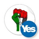 Justice 4 Palestine (@0308966) Twitter