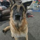 Steve Downer - @stevedowner67 - Twitter