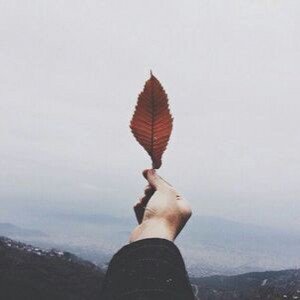 ⌣̴̨̐                  

 
  الرياض