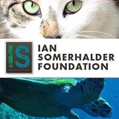 Ian Somerhalder Foundation CC member. For more information visit http://t.co/42EOekDWu1 {personal twitter @abbyjstockdill}