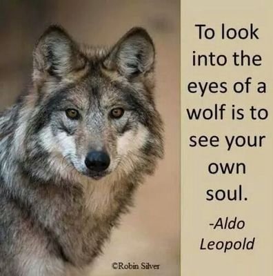 Trikeskull's profile picture. President of Mammoth R.C
Club night Wednesday 7pm
Red Lion pub
Clarence st Hull