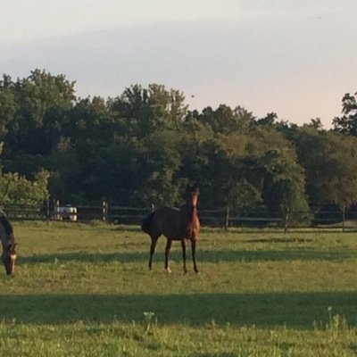 Amyp989Amy's profile picture. I HAVE A YOUTUBE