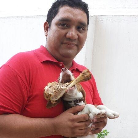 pedrocamachoj's profile picture. 