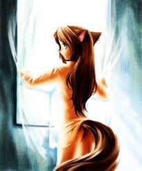 Hello sweets! I'm Daisy the fox/neko. I'm kind funny but very shy. I'll do anykind of roleplay. Master-FutaLover212. I'm a virgin female! K love you bye!!
