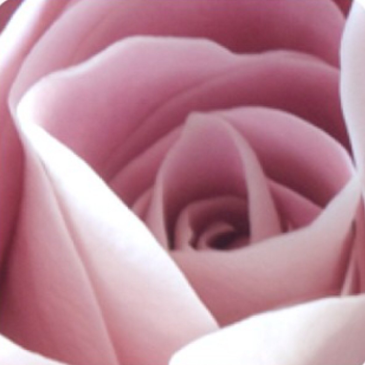 1picketfence's profile picture. 