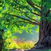 Kingg_Arnold124's profile picture. 