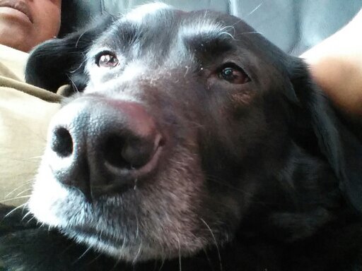 Drea1103's profile picture. 