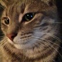 Lois Garrison - @garrison1120 - Twitter