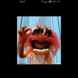 mcarver51's profile picture. 