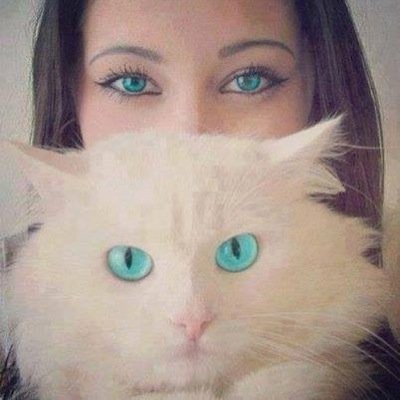 mrmorphilo's profile picture. 