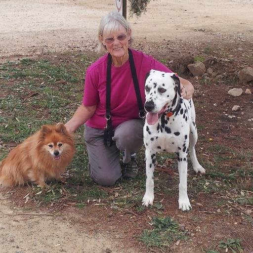 Hyper-active geriatric, enjoys walking, my dog, animals generally. 2008.moved from Kiwiland.  run writing group, write poetry,