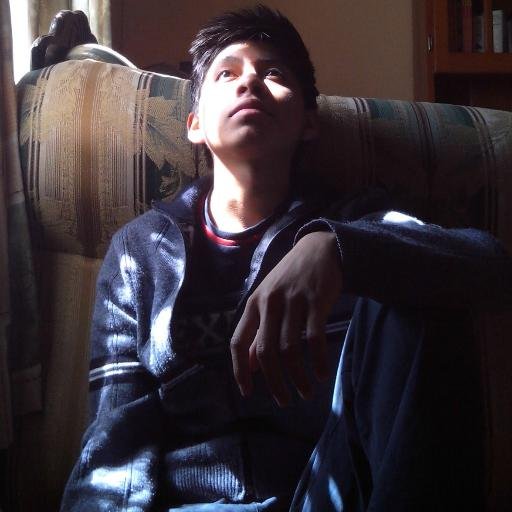 Soporte, editor y redactor.
