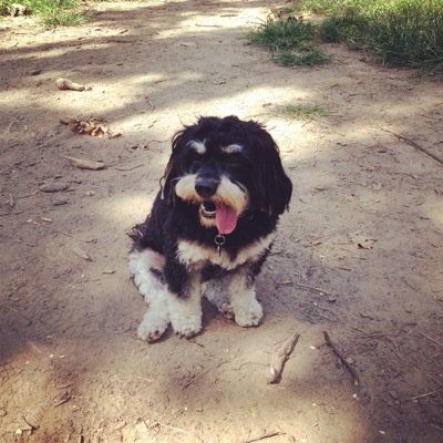 Blwerbs's profile picture. I am a Broadway performer, event planner, producer, philanthropist, and growing entrepreneur. I love to help people and create.