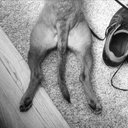 Chris Malmberg - @ChrisMalmberg - Twitter