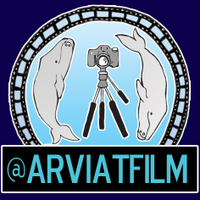 Arviat TV(@ArviatFilm) 's Twitter Profile Photo