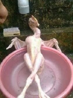 ste01b1's profile picture. 