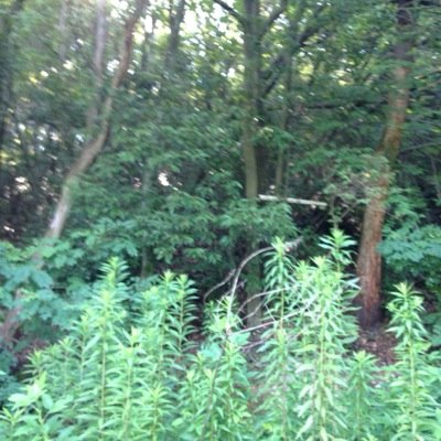 rtsougo8's profile picture. 相互フォローしてフォロワーを一緒に増やして行きましょう！！ このアカウントをフォロー →このアカウントのフォローしている人をフォロー →このアカウントのつぶやきをリツイート これでフォロワーは確実に増えます！！