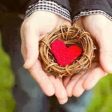 DualarM's profile picture. Evlad-i Osmanlı ~ AK Gençlik ~ İlahiyat