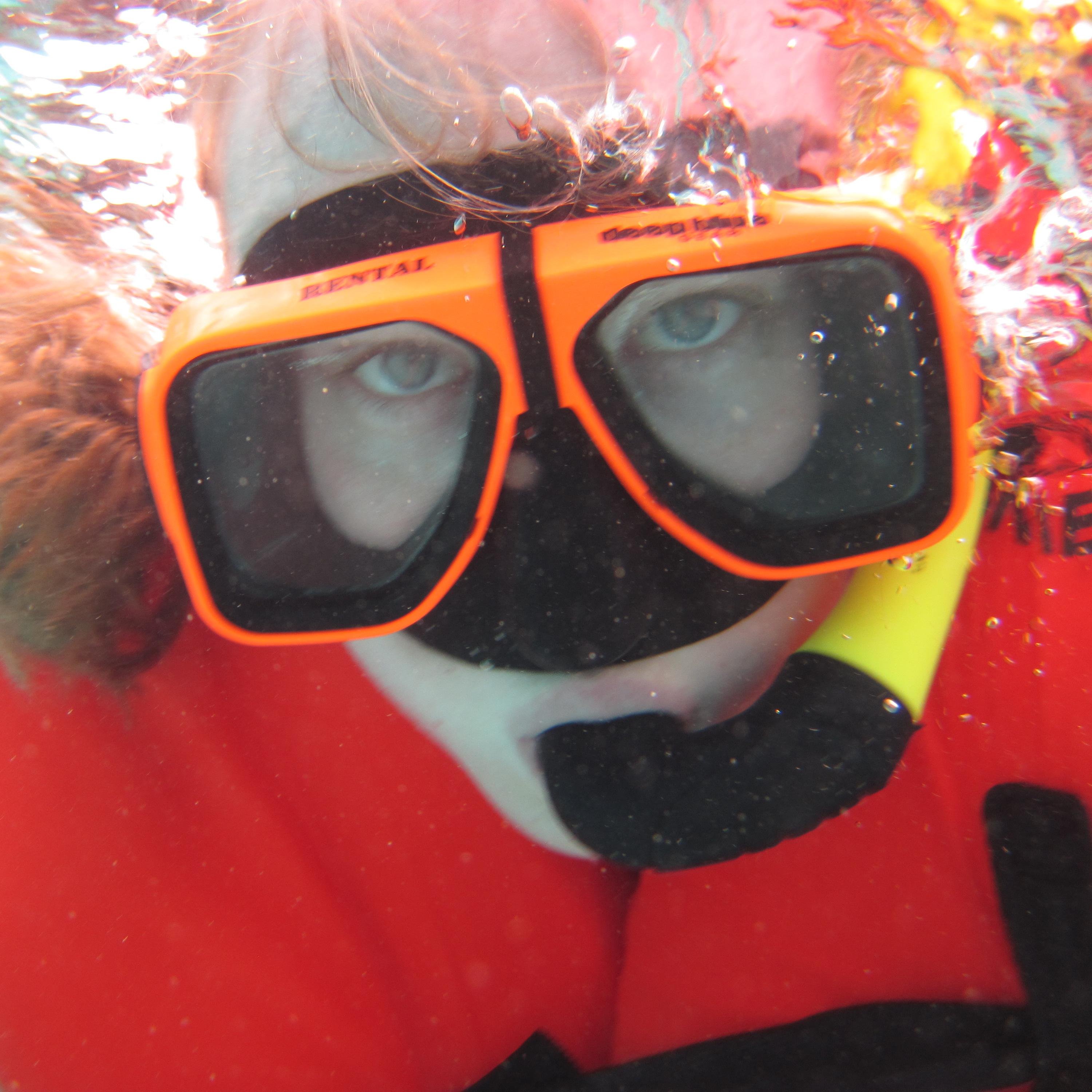 linds_swidersky's profile picture. 