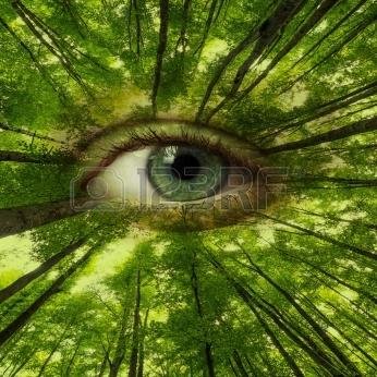 coopsoachaevent's profile picture. CAMBIO CLIMATICO, SEGURIDAD ALIMENTARIA, COMPENSACIONES OXIGENO, ECOLOGIA, AMBIENTALISMO, FAUNA, FLORA Y TURISMO, http://t.co/PzElDIjIoo http://t.co/aVnfsHPsd3