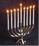 Jewish, hebrew, jew, jews, palestine, religion, israel, torah.