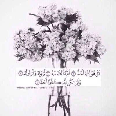 لعل هذا الحساب يشفع لنا يوم القيامه و ندخل الجنه سويا