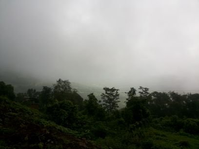 Nandkumarambre's profile picture. retail industry