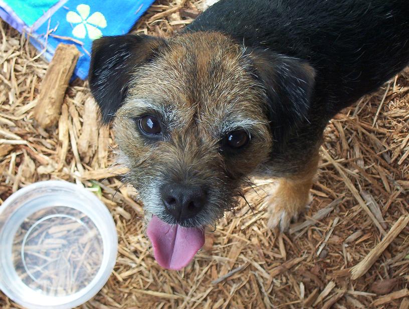 Solshines's profile picture. 