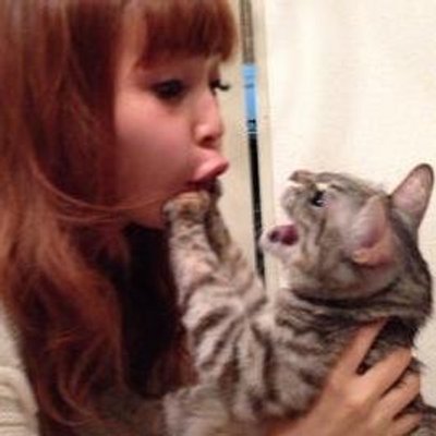 中川翔子は動物愛護 Ng Waraenai Twitter