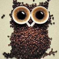 13. Burç (@13burcsa) 's Twitter Profile