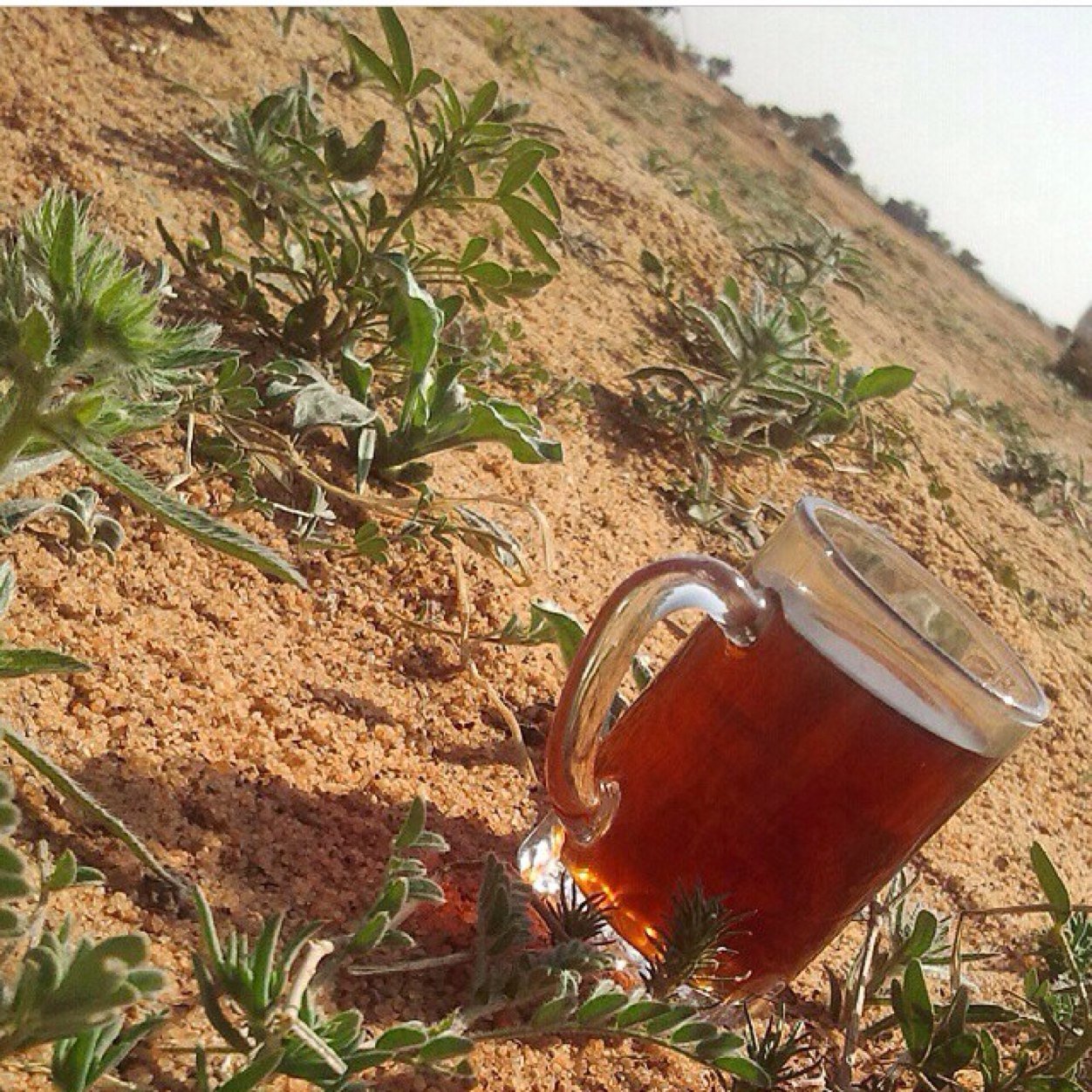 إصنع المعروف في أهله وغير أهله ، فإن أصبت أهله فهم أهله ، وإن لم تصب أهله فأنت أهله ..