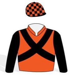 Bloodstock Achieving Xcellence LTD racehorse syndications with Kylie Bax #DANZDANZDANCE #BEAUTYGENERATION #AHURIRI #LITTLEBITOFLOVE BAXLTD@yahoo.com 021 557045