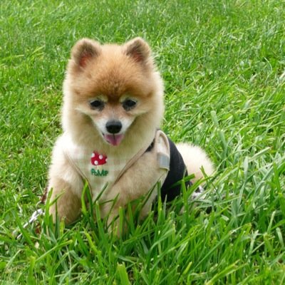 mutd21shino's profile picture. 