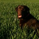 FREDDY LE BOUCHER - @freddyleboucher - Twitter