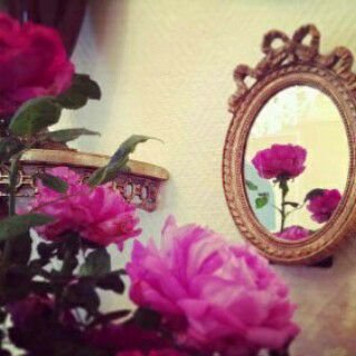 instagram /hfc_ma