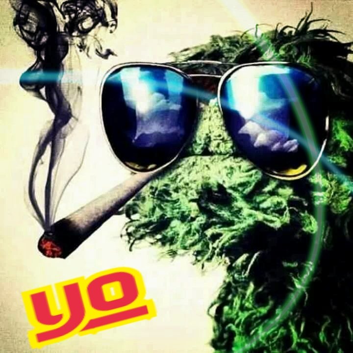 mariguano