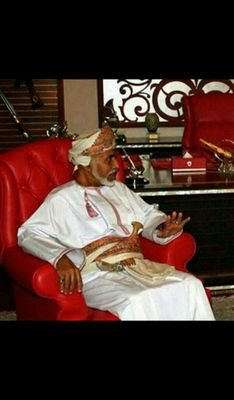 SiedSieds733's profile picture. 