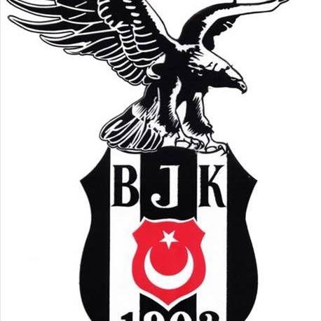 kutbeyn2 Profile Picture