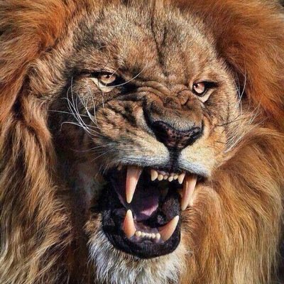 Always pain then freedom - MBA graduate passionate~ loyal~ protector~ rebel~fighter generous~ polite (most of the time) despise injustice~ pray for world peace