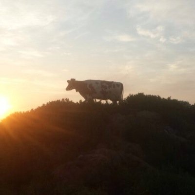 JaclynBrouwer's profile picture. 