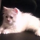 David Collado Mañez - @63fedc74a8ce4d4 - Twitter