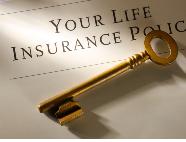 vLifeInsurance's profile picture. Life Insurance, life insurance policy, policy, insurance policy, insurance benefits, insurance coverage, term insurance, whole life insurance, term life.