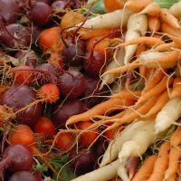 LVfoodcoop's profile picture. Our mission is to sustain ourselves, our local farmers, our communities, and our world by providing local and organically-grown products for the LV.