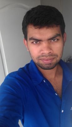 Software Engineer