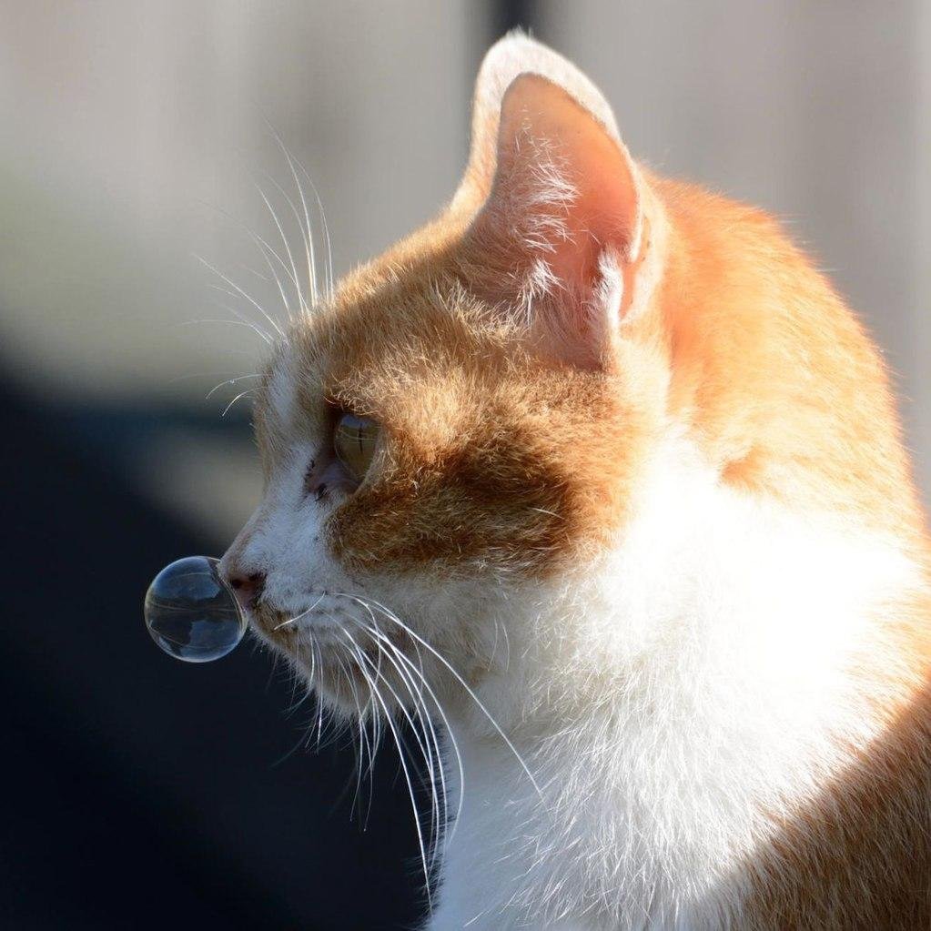 john_doe_15's profile picture. 