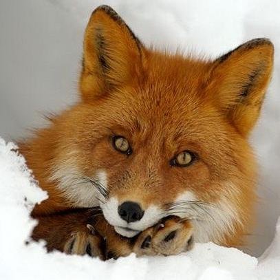 shilova_katyuny's profile picture. Увлекаюсь экономическими играми