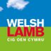 Welsh Lamb (@welshlamb_pgi) Twitter profile photo Welsh Lamb (@welshlamb_pgi) Twitter profile photo