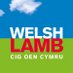 Welsh Lamb (@WelshLamb_PGI) Twitter profile photo